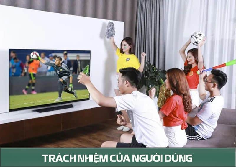 trách nhiệm của người dùng sử dụng các dịch vụ trên trang mitomtv